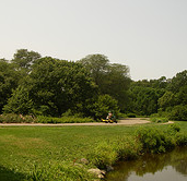 arboretum project